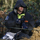 banditloon