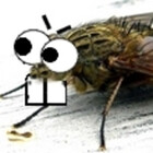 glitter-moth