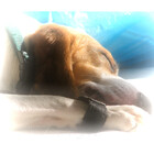 pmn-photography