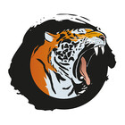 lazytigerbrand