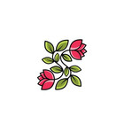 Cvfshop