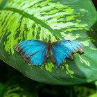 LexiRossPhoto