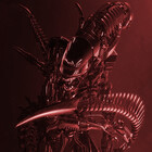 XenoZombi024