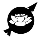 NoaQep