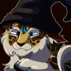 supercat00