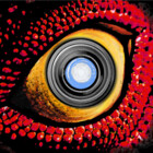 BadEye