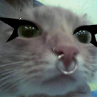 annoyinglilho