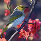 myartscontent