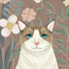 moggy-club