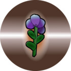 MorningFlowerA