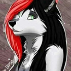 MIDNIGHTWOLF22