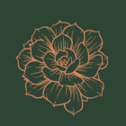 Lys532