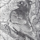 Elitheuniqueorn