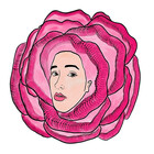 lilyrosemills