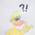 IdeasDuck
