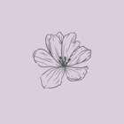 dreamy-000