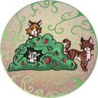 BerryShyKittens