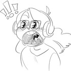 rhapsnap
