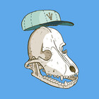 skulldaggery