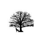 EinsamerBaum