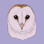 FandomOwlTrash
