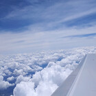 Evie-raaf1