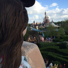 disneylifelover