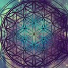 gnosisphoenix