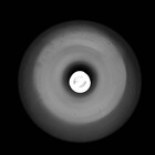 internecine