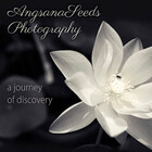 AngsanaSeeds