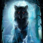 shadowolf24