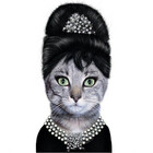 KittyInTheCity