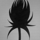 AetherAria
