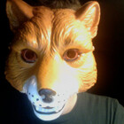 ReynardtheFox