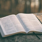 DailyBible