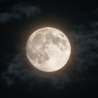 mooncoffin