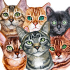Wise-Cats