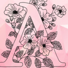 Adamx1