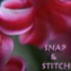 snapandstitch