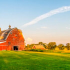 LibertyFarms