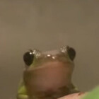OchacoKinnie