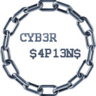cybersapiens