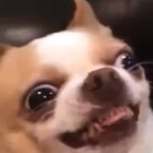Itsyaboimig