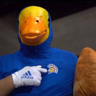 SJSUDuck