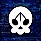 Skull-System