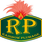 RainbowPlumage