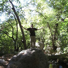 LensBender