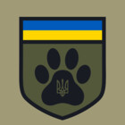 FelineDefenseUA
