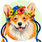 ukrainiancorgi