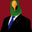 eclectus11